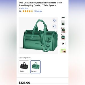 Wild One Breathable Mesh Travel Bag Dog Carrier, 17.5-in, Spruce